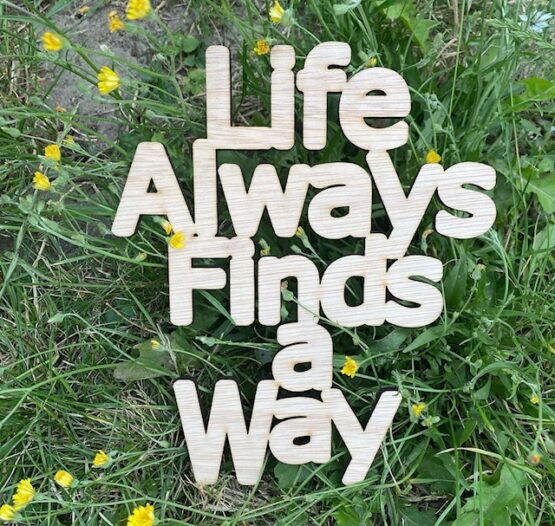 Out of the box - Quote - Life always finds a way