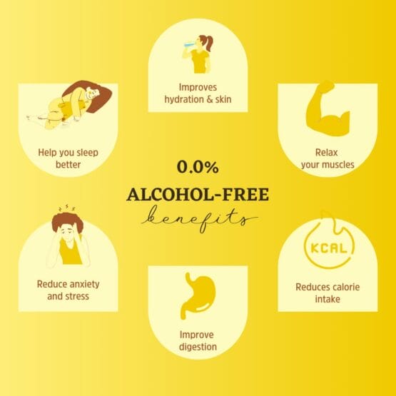 Gili - Concentraat - Gember, Lemon & Honing - BIO - 500ml - Afbeelding 3