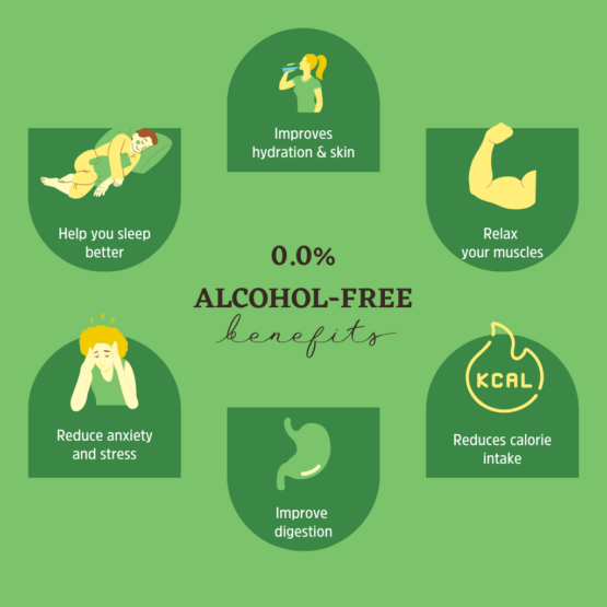 Gili - Concentraat - Wasabi, Basilicum & Gember - BIO - 200ml - Afbeelding 3