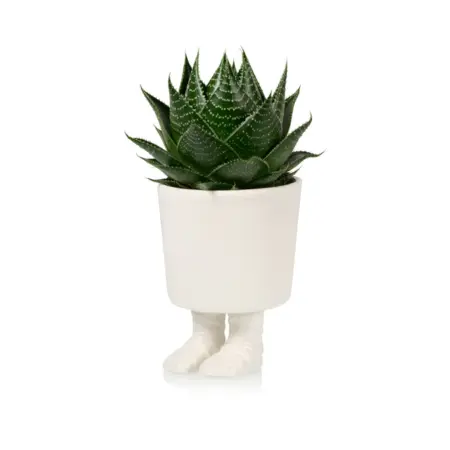 Bloempotje met sandalen - Groot - Bitten