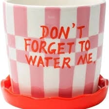 Qué Rico - Plantenpot Lior - Don't forget to water me