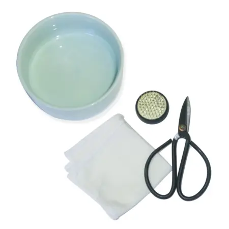 Kikkerland - Mini Ikebana Kit