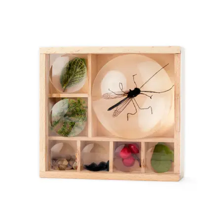 Kikkerland - Huckleberry - My little museum