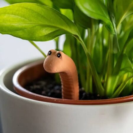 Willie de Worm - water sensor
